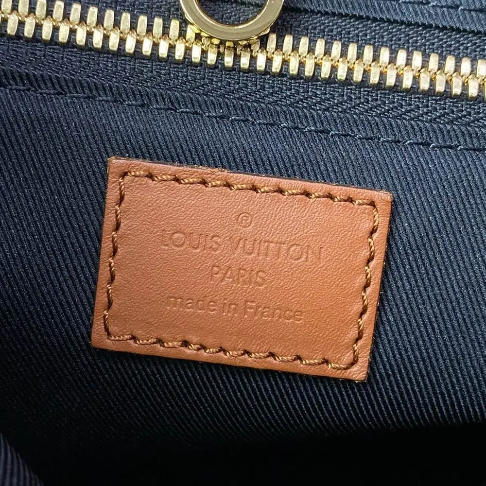 Louis Vuitton Hobo Dauphine MM Handbag M45195